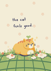 The cat feels good