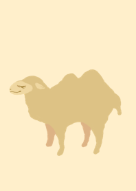 Camel and desert