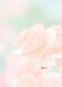 Flower Theme 47