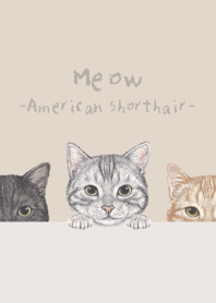 Meow - American Shorthair - PASTEL BROWN