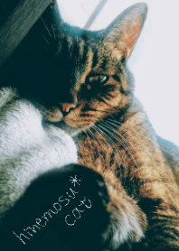 hinemosu*cat 3