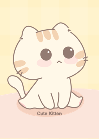 Cute Kitten : baby cat [yellow]