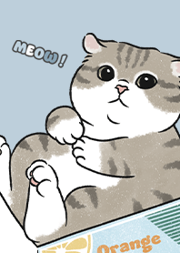 neko single14 / blue