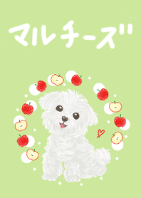 せみまりのマルチーズ着せかえ