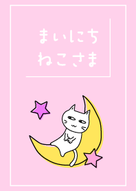 まいにち、ねこさま13