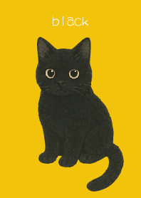 Round Black Cat2 on yellow