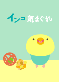 インコ気まぐれ 緑虹