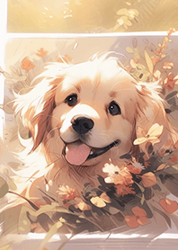 可愛幸福的黃金獵犬❤