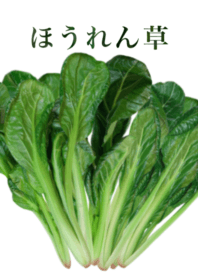 Domestic spinach 9