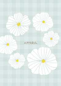 6 white flowers check19 from Japan