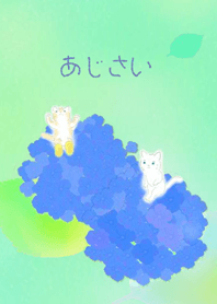 Hydrangea & Cats#cool