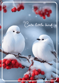 sorairo Winter Bird 02_2