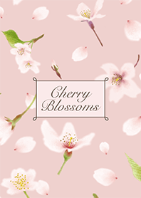 Flores de cerejeira〈Rosa〉