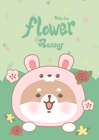 misty cat-(Shiba Inu)Flower Bunny green