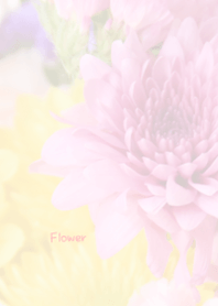 Flower Theme 26