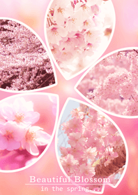 Beautiful Blossom
