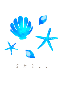 Chic shell illust