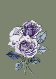 Hand-drawn dull green rose