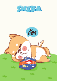 ก้อง ใครไม่บะ ชิบะ 4 V06