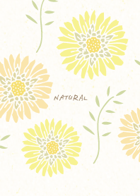 Adult color flowers leaves19 from Japan