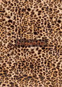 Leopard Fur 80