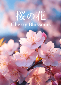 Cherry Blossoms vol.1