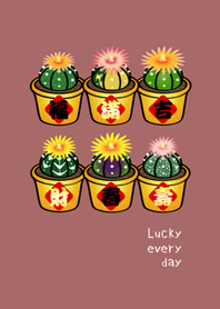 ต้นไม้กระถางนำโชค(ชมพูส้ม)