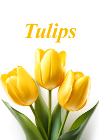 Tulips vol.26