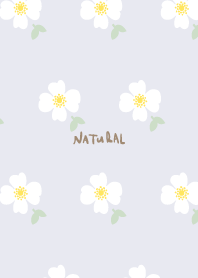 White flowers and leaves pr...