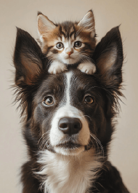 Big Buddy, Little Boss