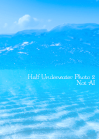 Half Underwater Photo 2 Not AI