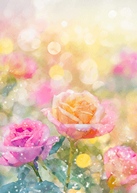 Beautiful rose flower(R2485)