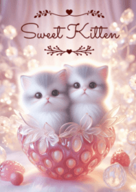 Sweet Kitten No.1095