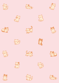 kitten kitten kitten11