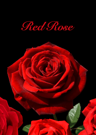 「赤い薔薇」のきせかえ