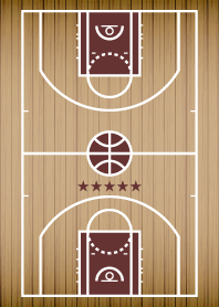 コートビジョン -basketball-