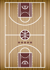 court vision -basketball-