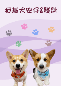 柯基犬安仔&發財
