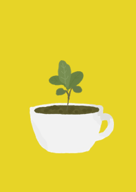 Coffee tree