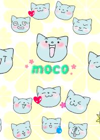 Cat's face