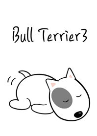 Cute Bull Terrier3