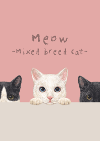 Meow -Mixed breed cat 02- PINK LEMONADE