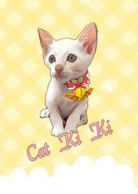 Orange Cat Kiki