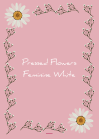 Pink : Feminine pressed flowers