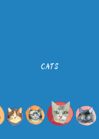 holiday cats on blue