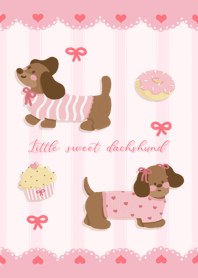 Little sweet dachshund