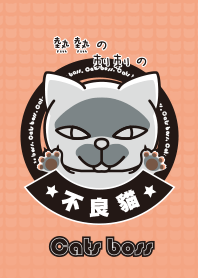 不良貓 2.0