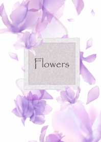 大人クリアフラワー・パープル