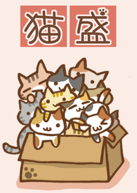 大量的貓 2 紙箱