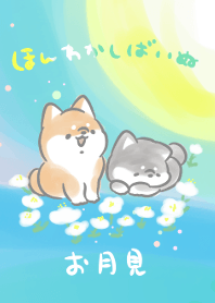 ほんわかしばいぬ<お月見>